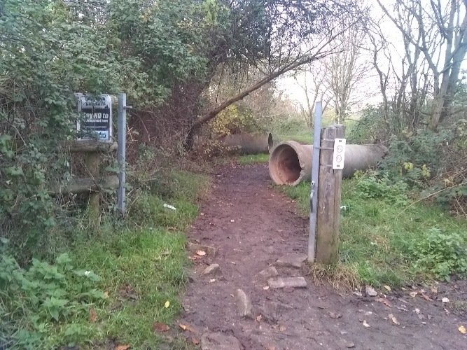 Picture of entrance to Dog Bark Lane